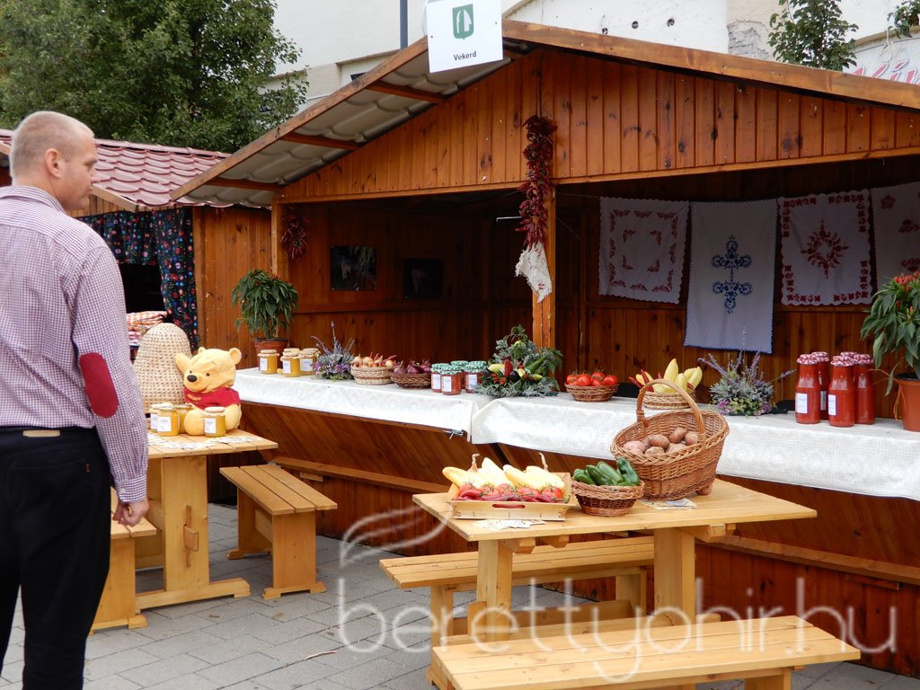 Helyi Értékek Startja 36